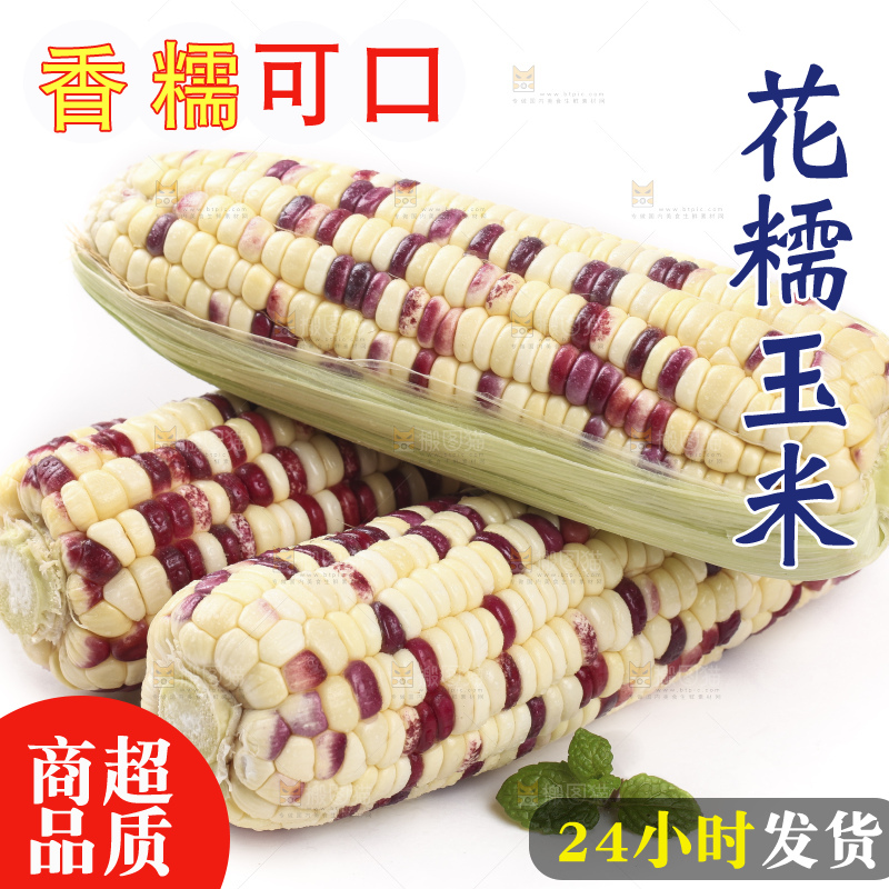 剥皮的花糯玉米放在白底上