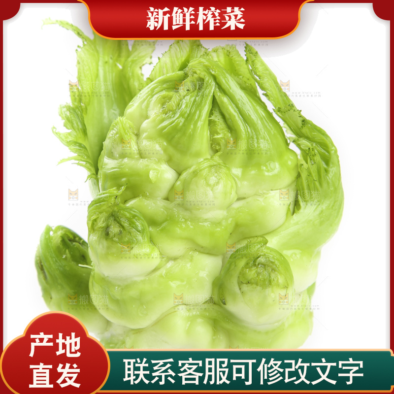 白底上的大头菜疙瘩