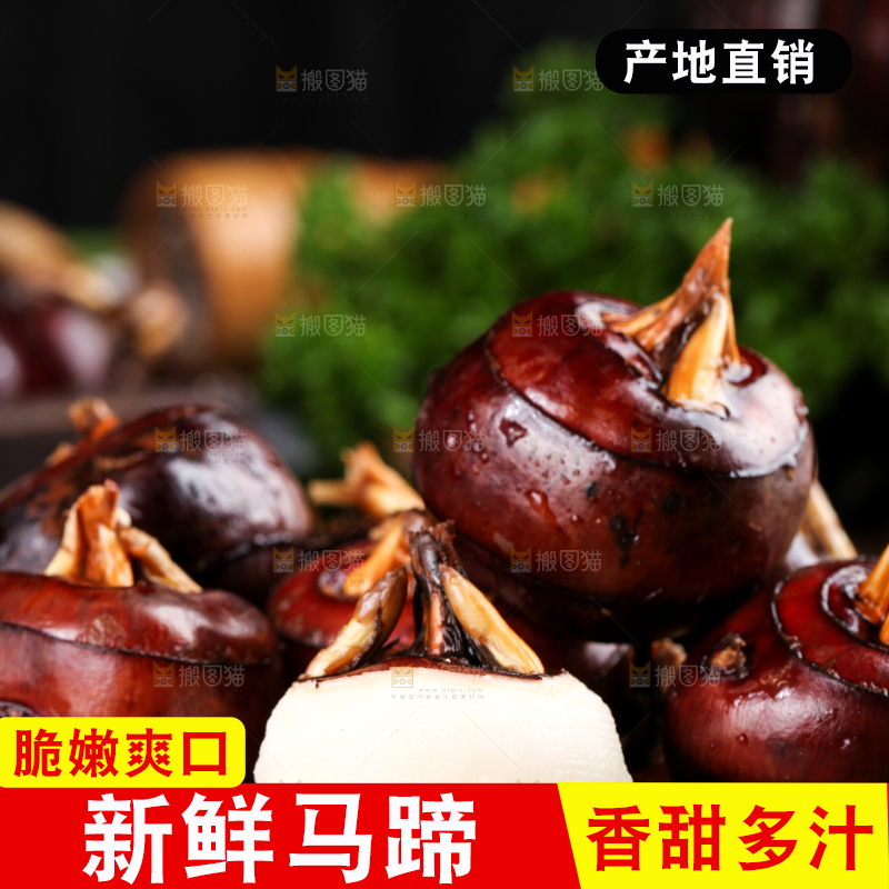 篮子里的红马蹄