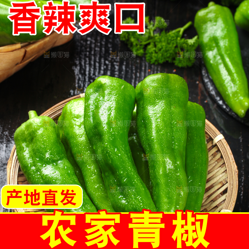 盘子里的薄皮青椒