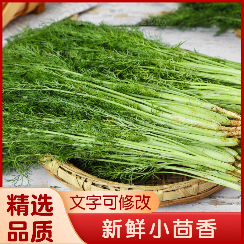木底上的小茴香菜