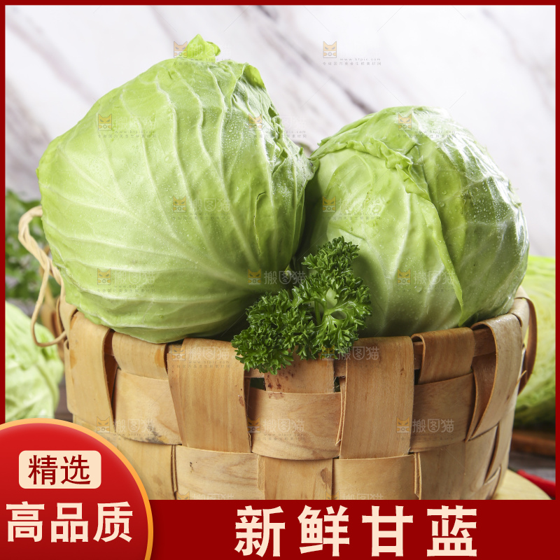 篮子里的卷心菜