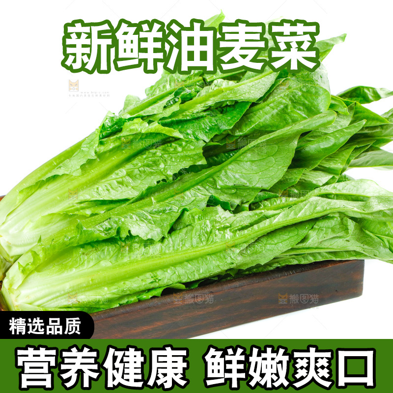 白底上放着油麦菜