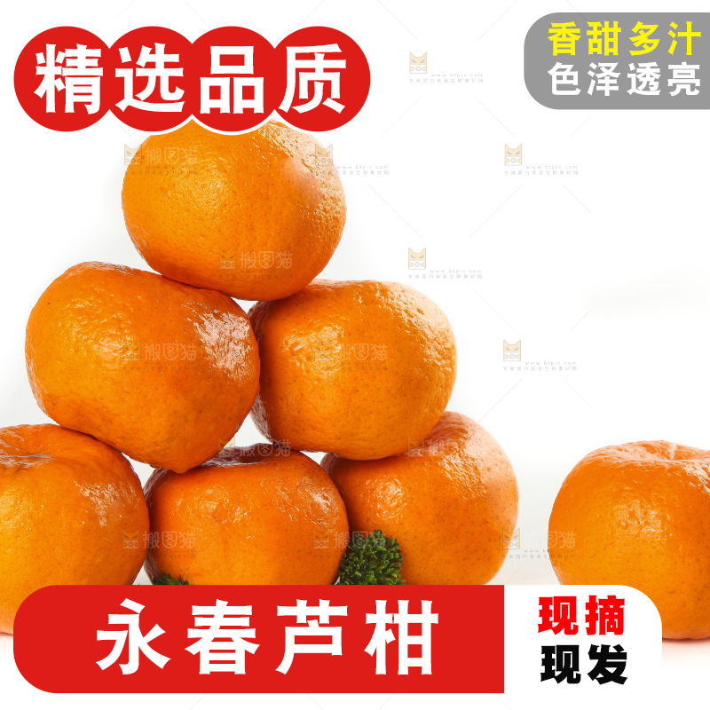 白底上摆放着福建永春芦柑