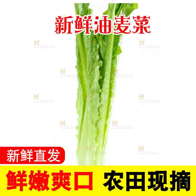 白底上放着油麦菜