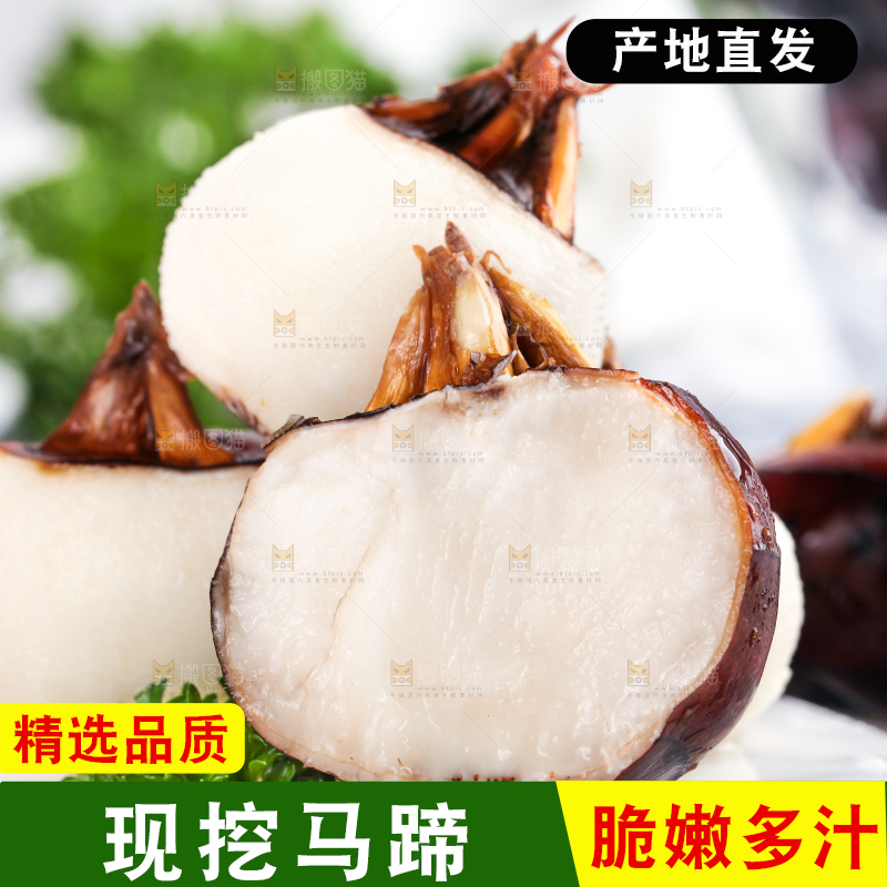 彩底上放着红马蹄