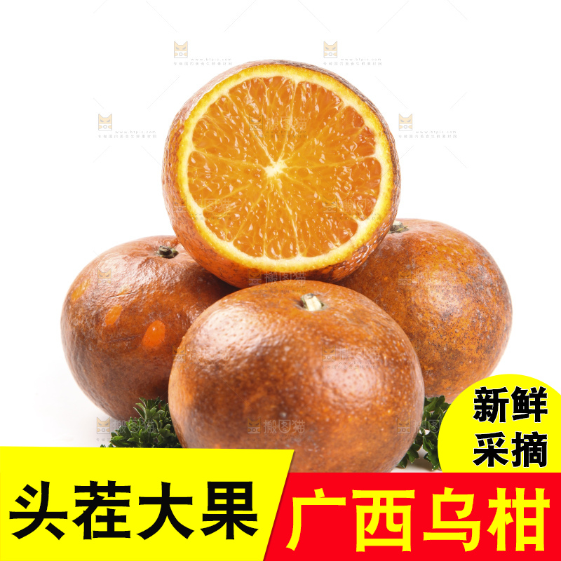 白底上放着新鲜乌柑