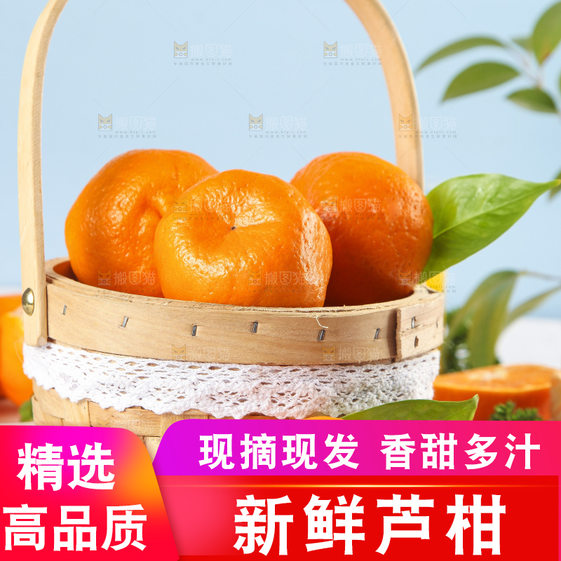 篮子里装着新鲜芦柑
