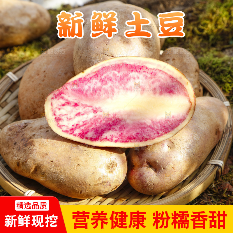 篮子里装着云南红心土豆