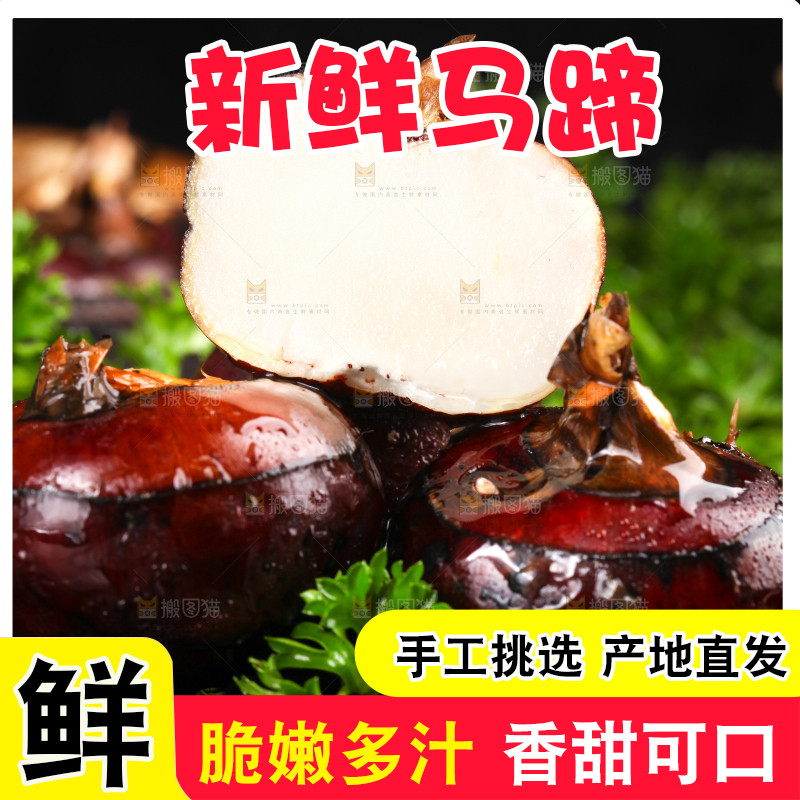 黑石板上的荸荠