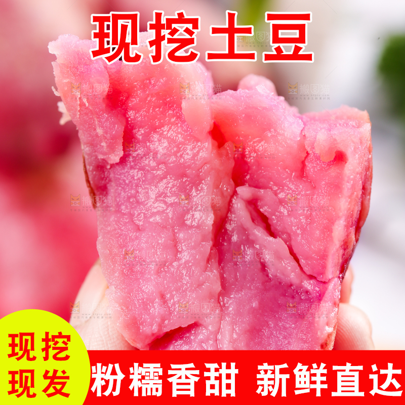 手里拿着云南红土豆
