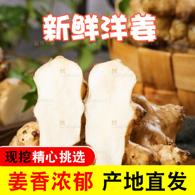 木板上的洋姜