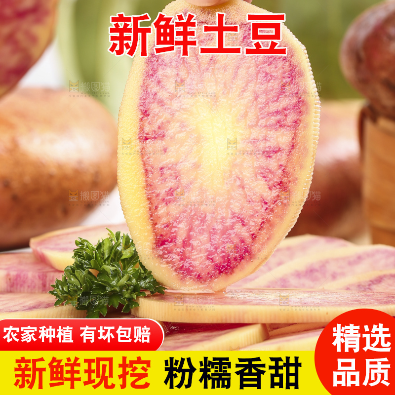 手里拿着彩色土豆