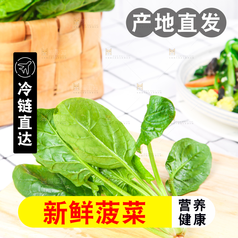 白格子底上的嫩菠菜