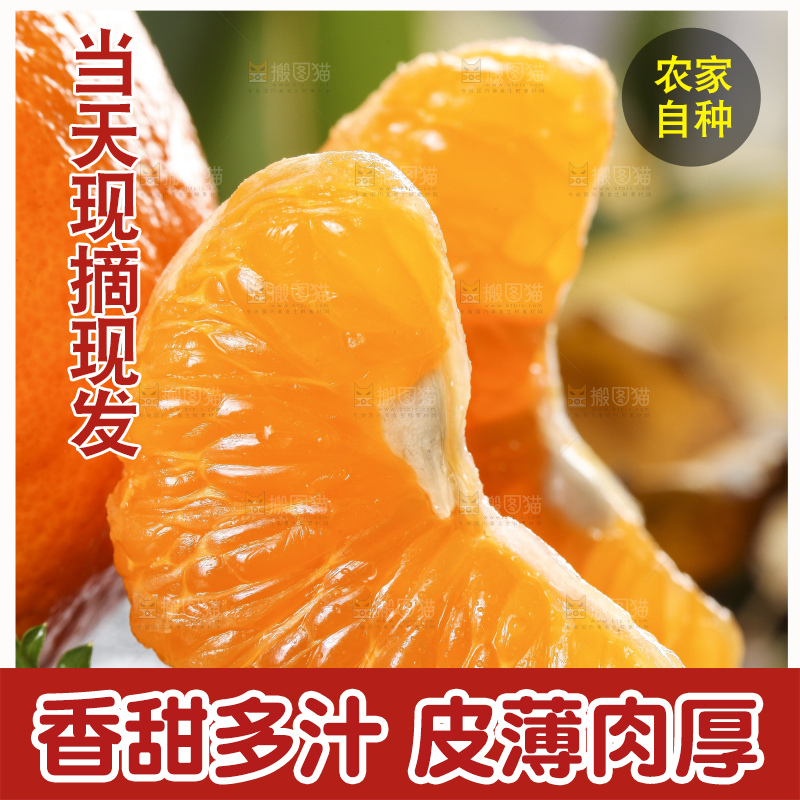 黑石板上的云南椪柑