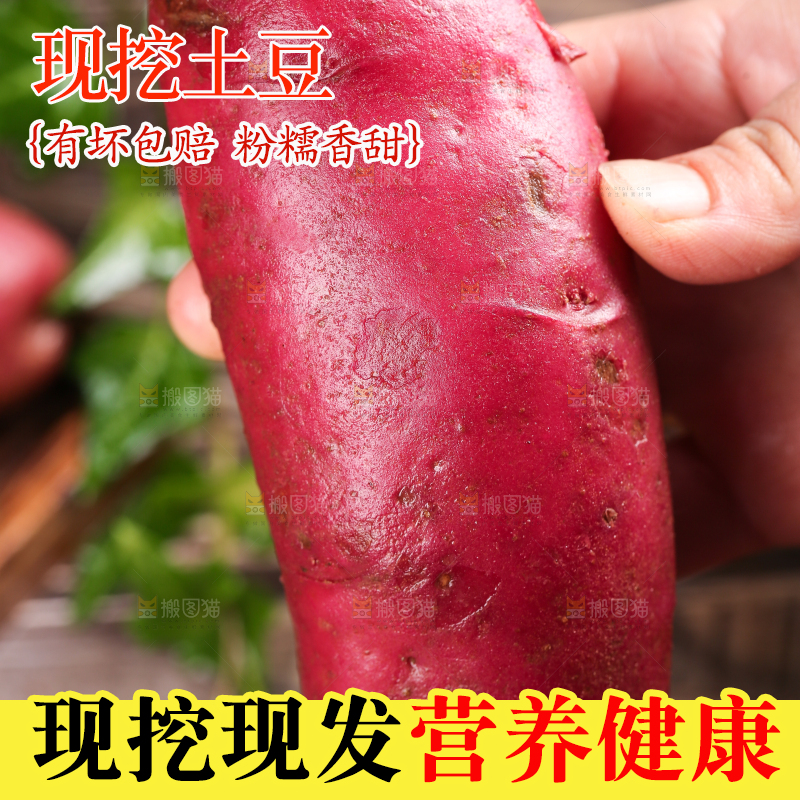 手里拿着云南红土豆
