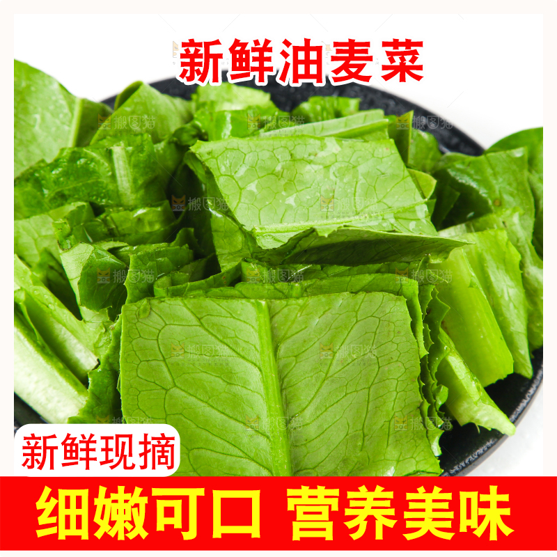 白底上的香麦菜
