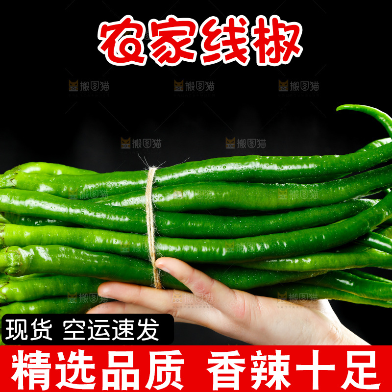 黑底上的新鲜青线椒
