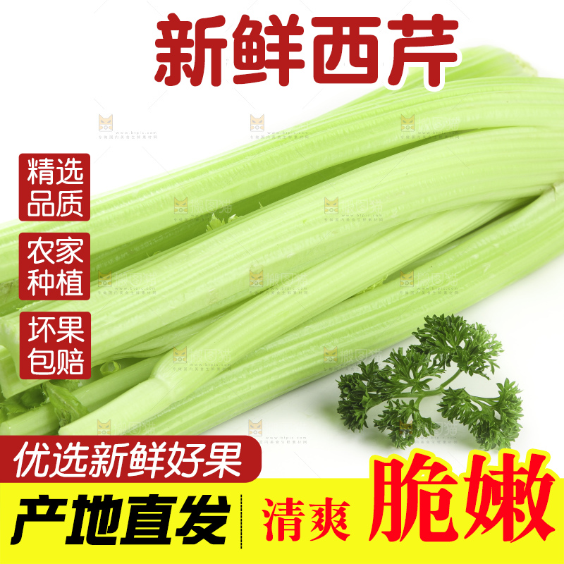白底上的山东西芹