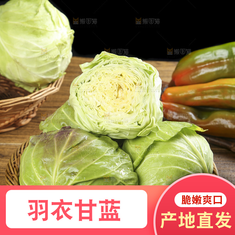 篮子里装着绿甘蓝