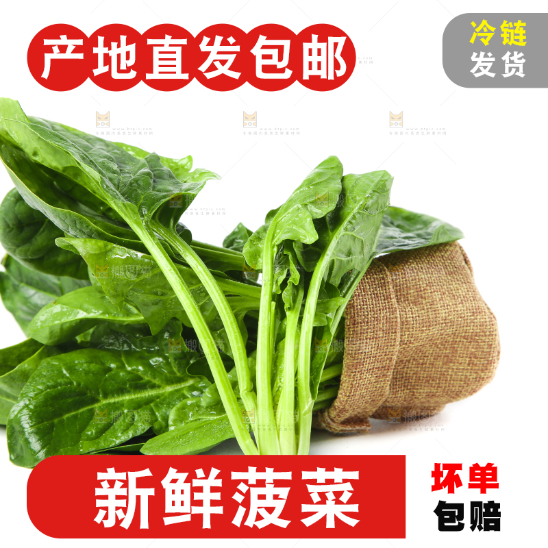 篮子里的红根菠菜