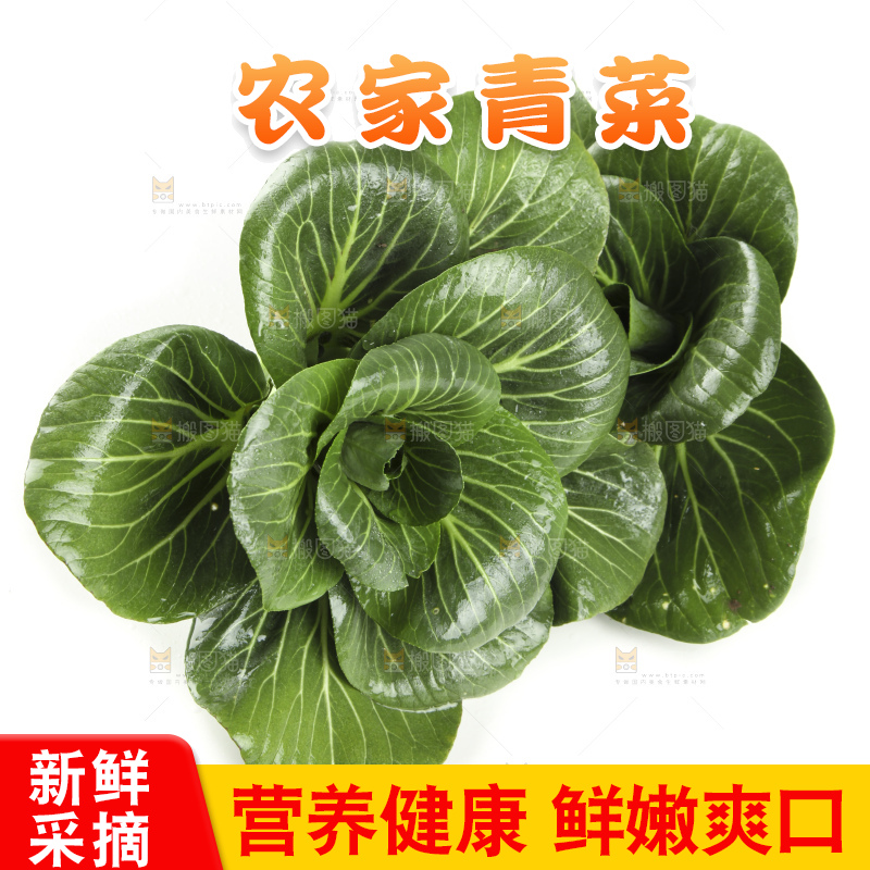 白底上放着上海青