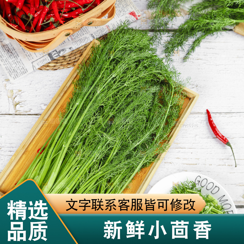 盘子里的云南小茴香菜
