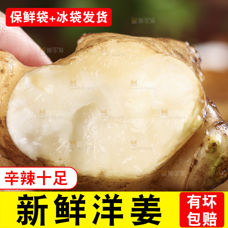 手里拿着野生洋姜