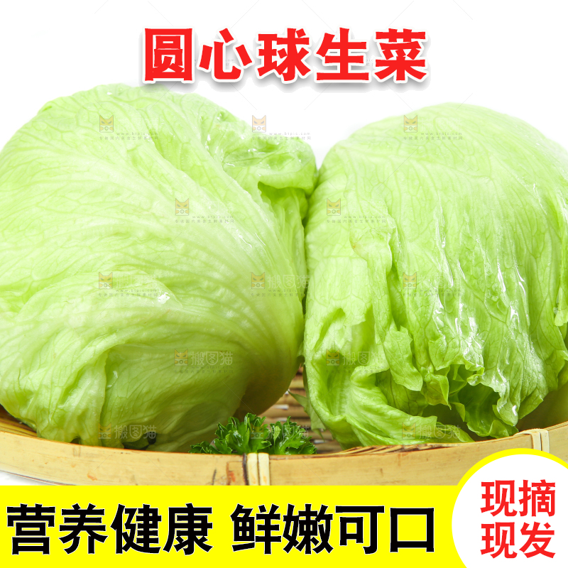 白底上的新鲜生菜