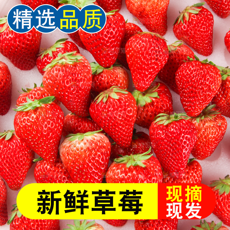 箱子里的奶油草莓