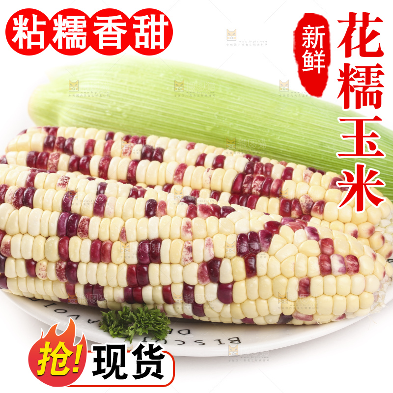 白底上放着一盘糯玉米