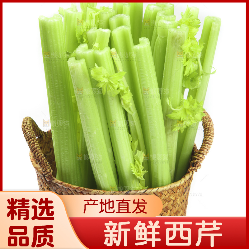 白底上的山东西芹
