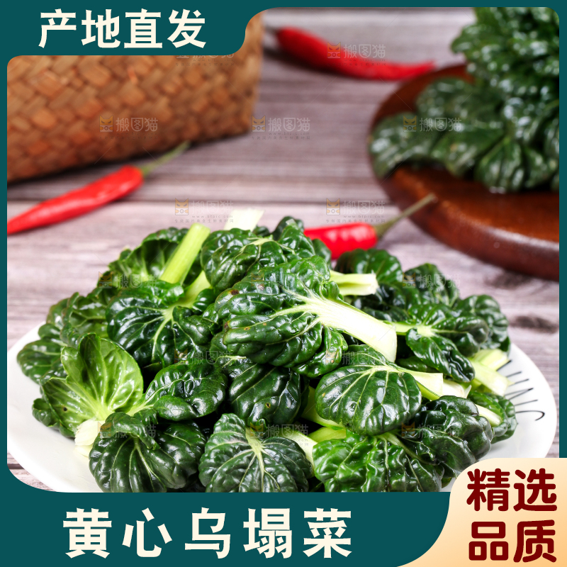 盘子里装着农家菊花菜
