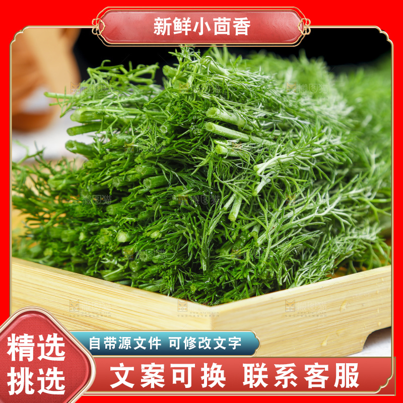 盘子里的云南小茴香菜