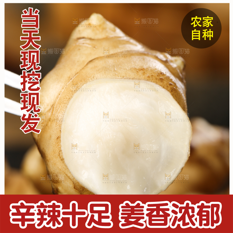 叉子上叉着鬼子姜
