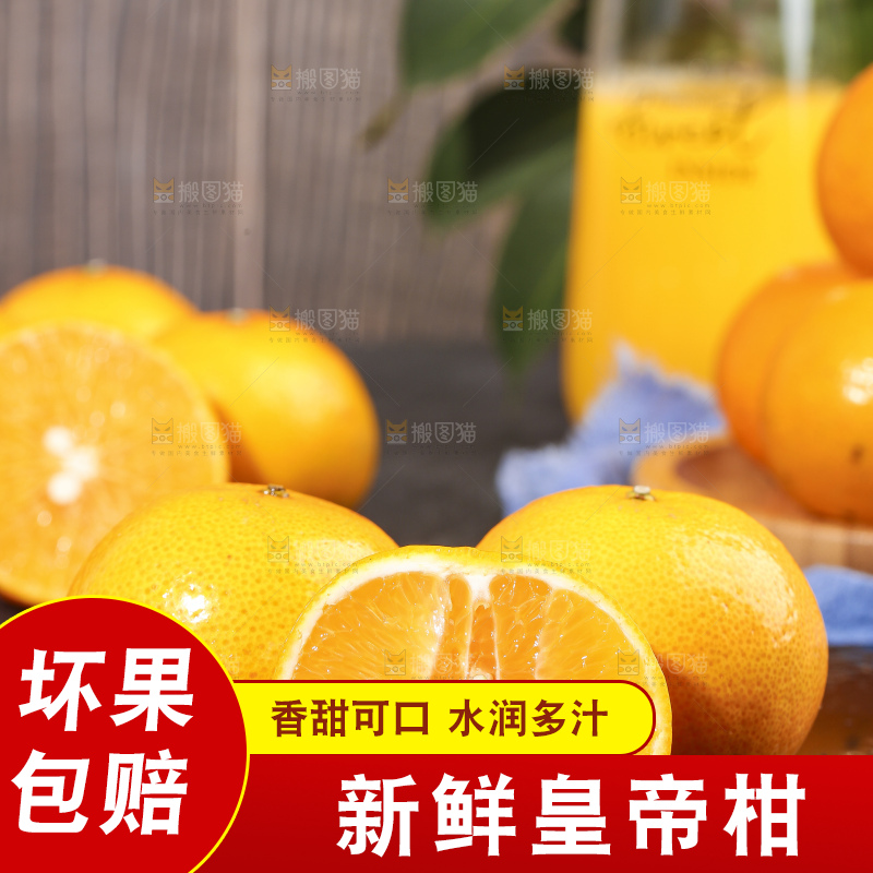 黑石板上切开的武鸣皇帝柑