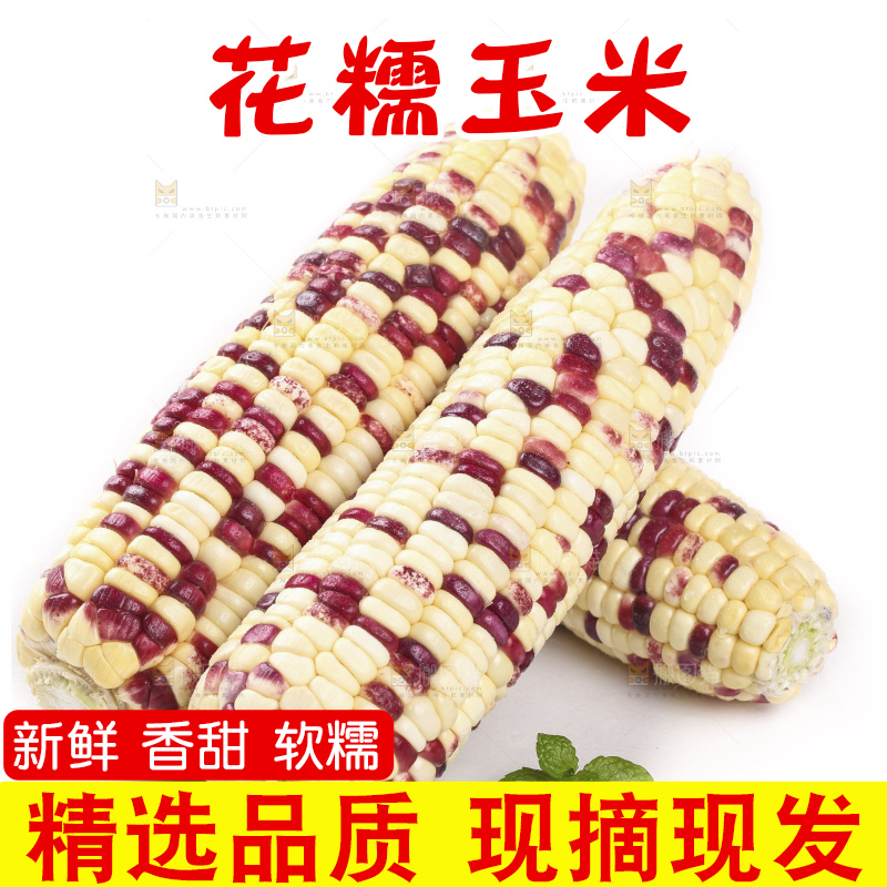 剥皮的花糯玉米放在白底上