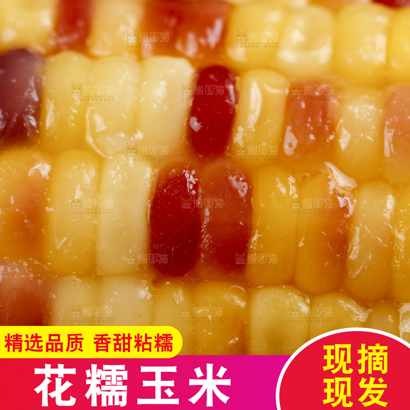 深底上的熟花糯玉米