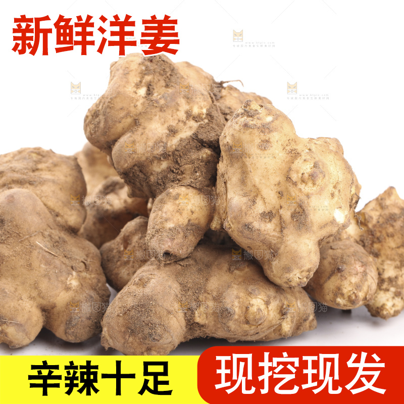 白底上摆放着新鲜洋姜