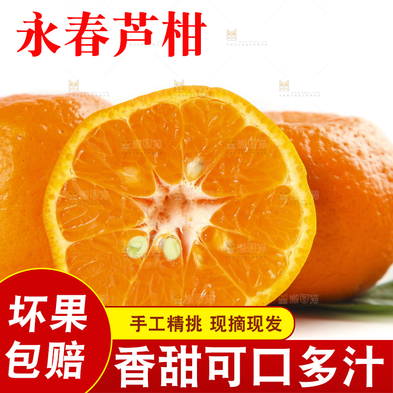 白底上的椪柑橘