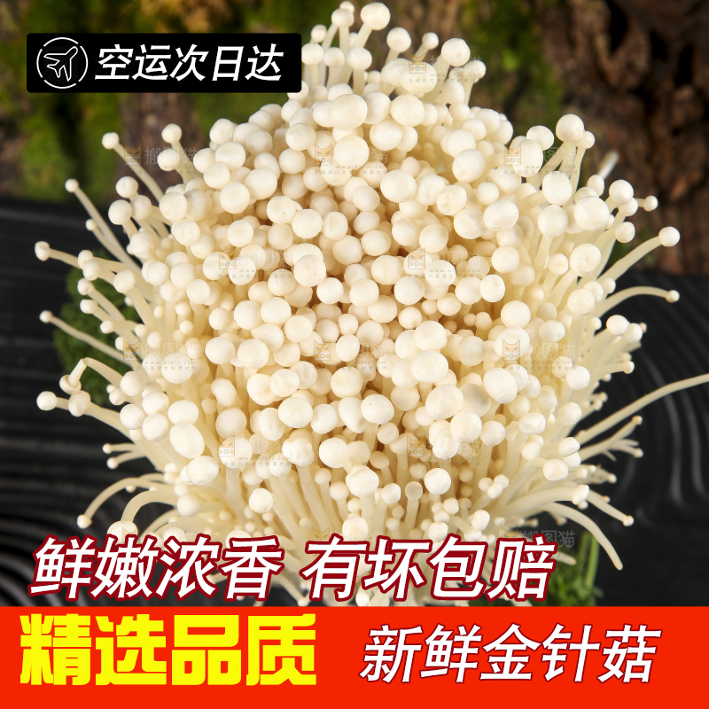 黑石板上的金针菇