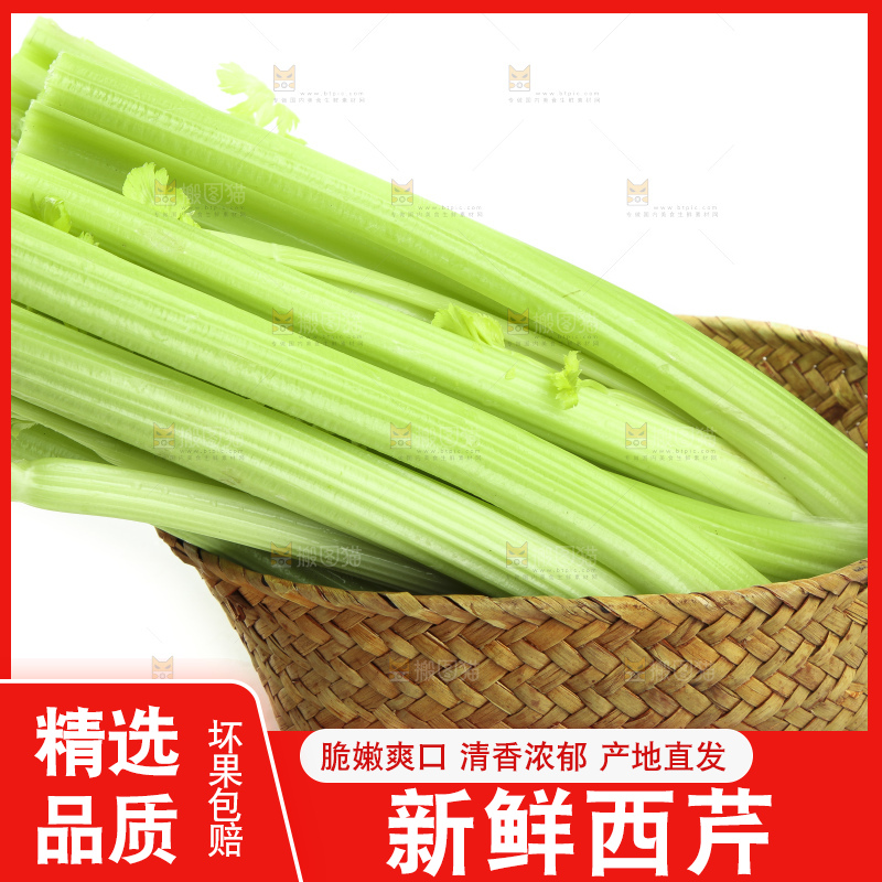 白底上的山东西芹