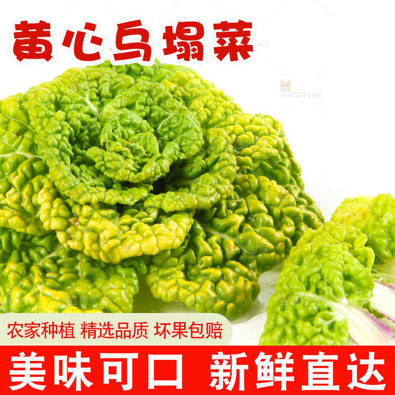 白底上摆放着黄心白菜