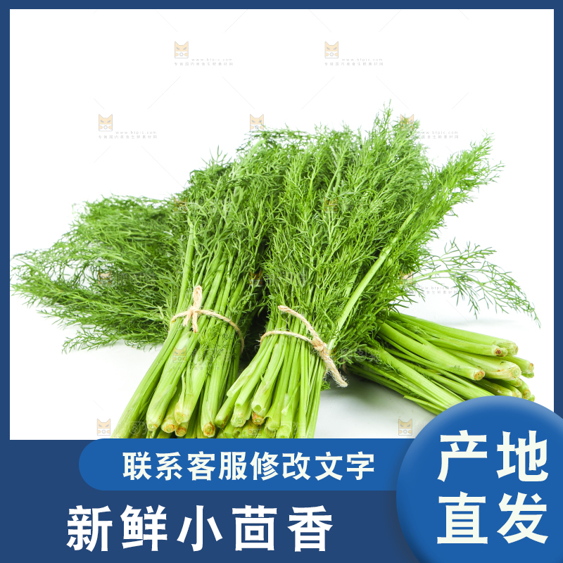 白底上放着小茴香