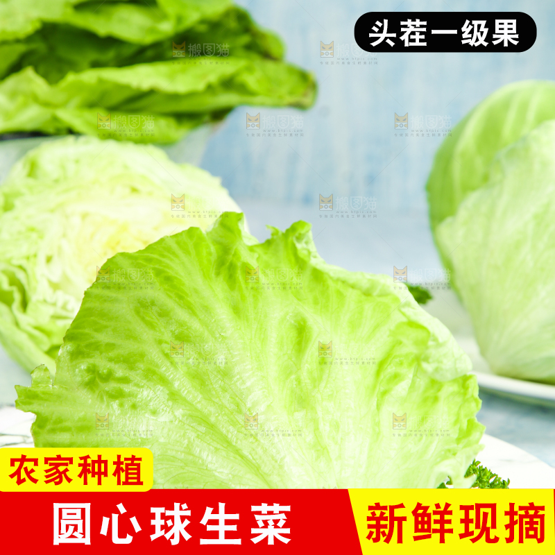 盘子里装着球生菜