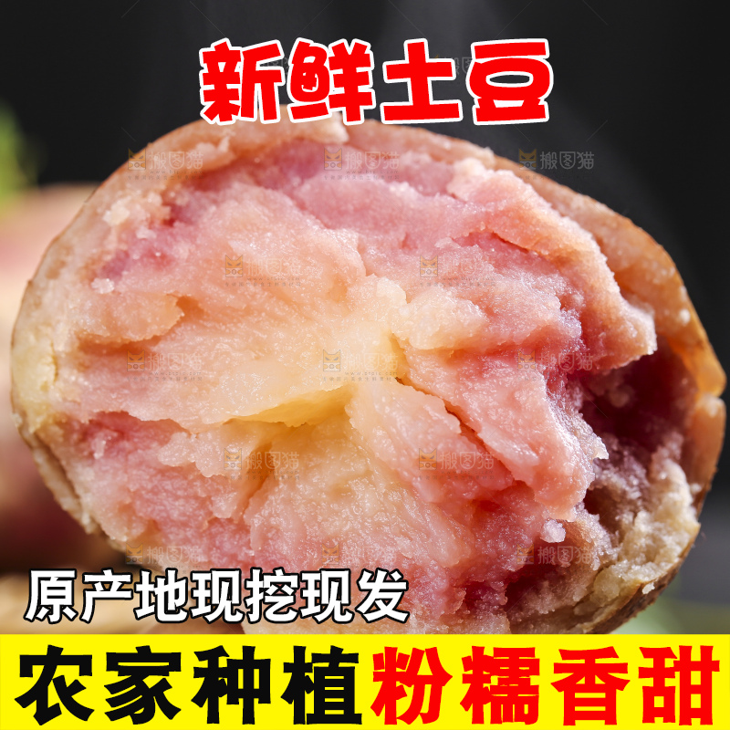手里拿着彩色土豆