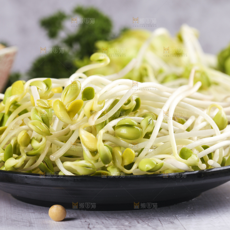 盘子里的豆芽