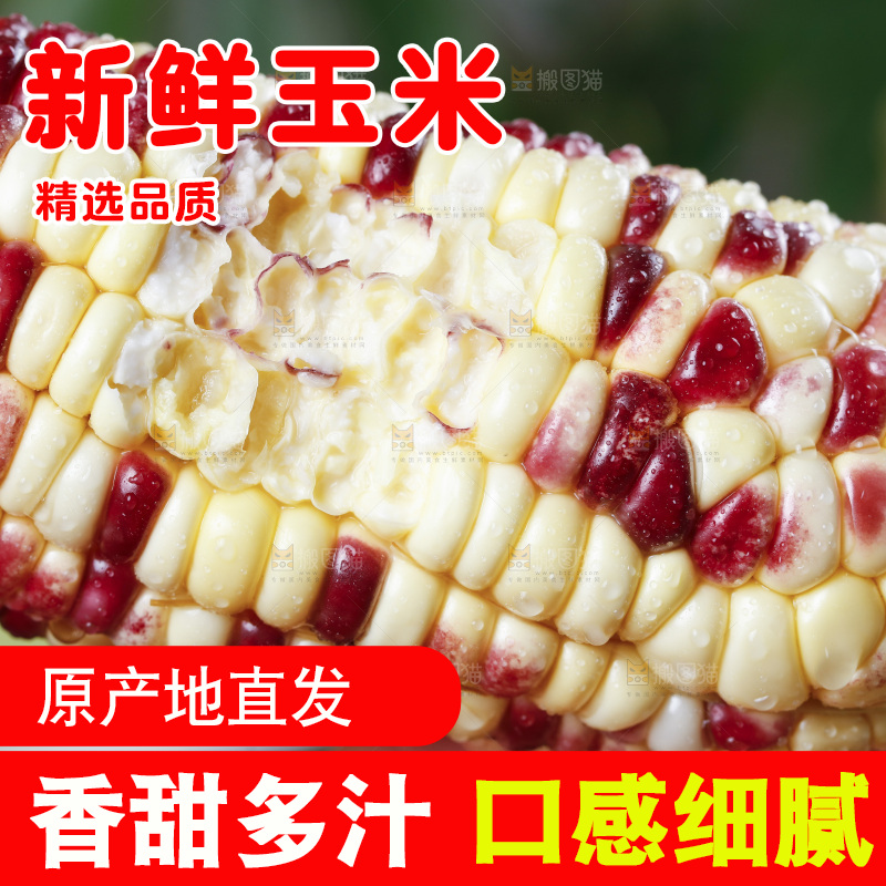 手拿花糯玉米