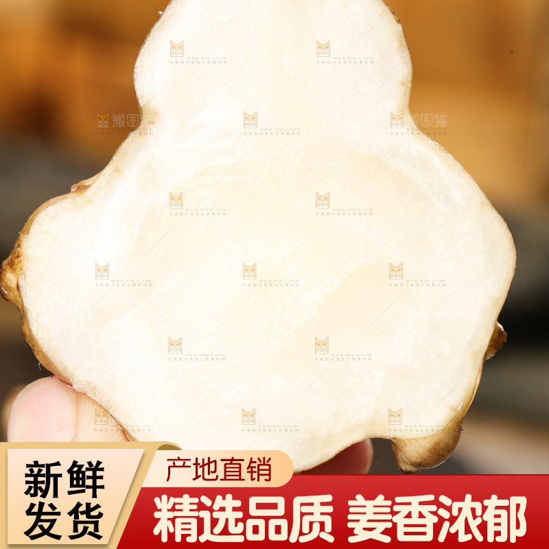 手里拿着地姜