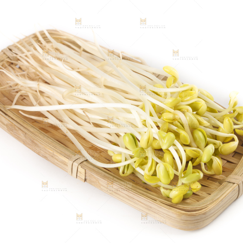 白底上的豆芽